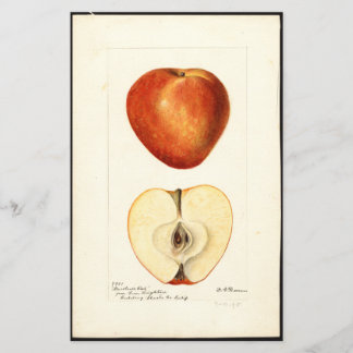 Pomological Watercolor Marshall Red Scrapbook Page