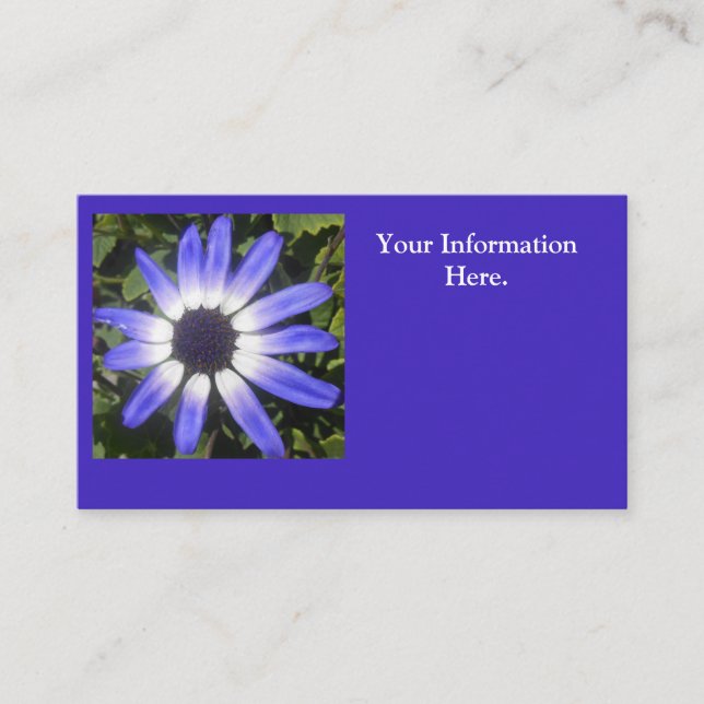 Pompeia Business Card (Front)