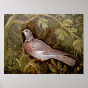 POMPEII COLLECTION / DOVE IN THE GARDEN POSTER