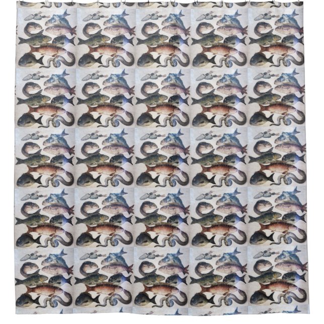 POMPEII COLLECTION / FISHES OCEAN - SEA LIFE SCENE SHOWER CURTAIN (Front)