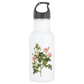 pompon rose (Rosa pomponia) by Redouté 532 Ml Water Bottle