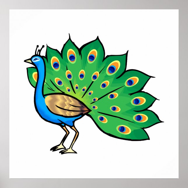 Ponce Peacock Poster (Front)