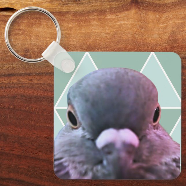Poncho The Pigeon Keychain! Key Ring (Front)