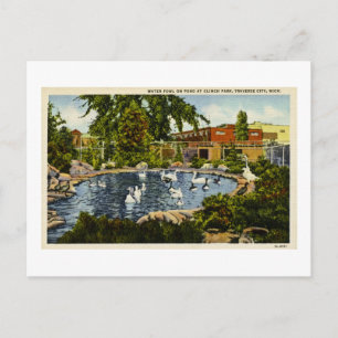 Pond at Clinch Park Traverse City, Michigan Postcard