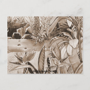 Pond at Pineapple Plantation Postcard