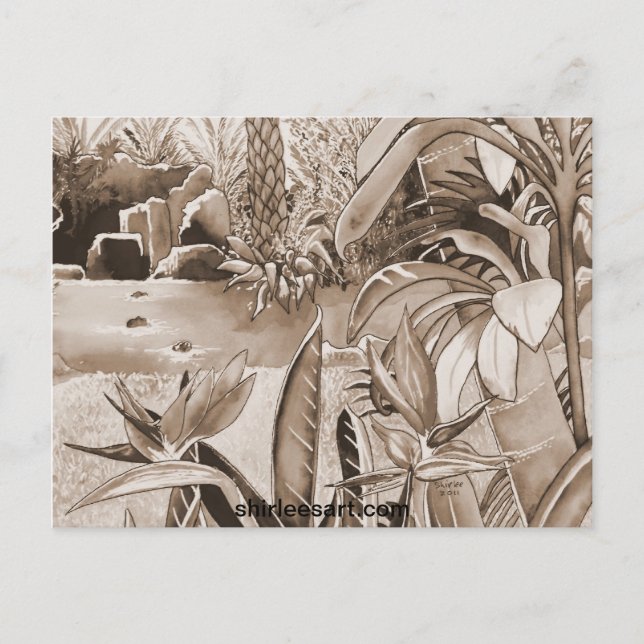 Pond at Pineapple Plantation Postcard (Front)