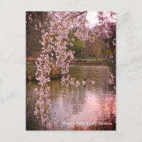 Pond at RHS Wisley, England