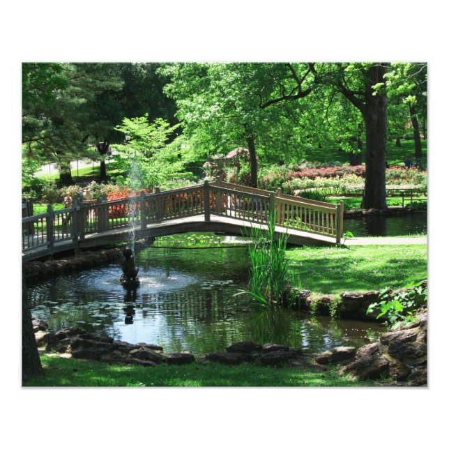 Pond Bridge Photo Print (Front)