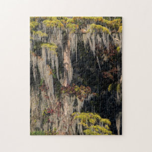 Pond Cypress in Flooded Swamp Jigsaw Puzzle