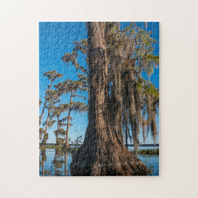 Pond Cypress Tree in a Swamp Jigsaw Puzzle (Vertical)