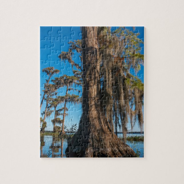 Pond Cypress Tree in a Swamp Jigsaw Puzzle (Vertical)
