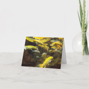Pond Fodder Card