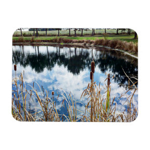 Pond Landscape Nature Photography Art Magnet