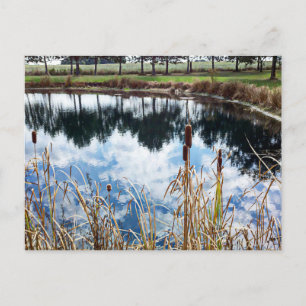 Pond Landscape Nature Photography Art  Postcard