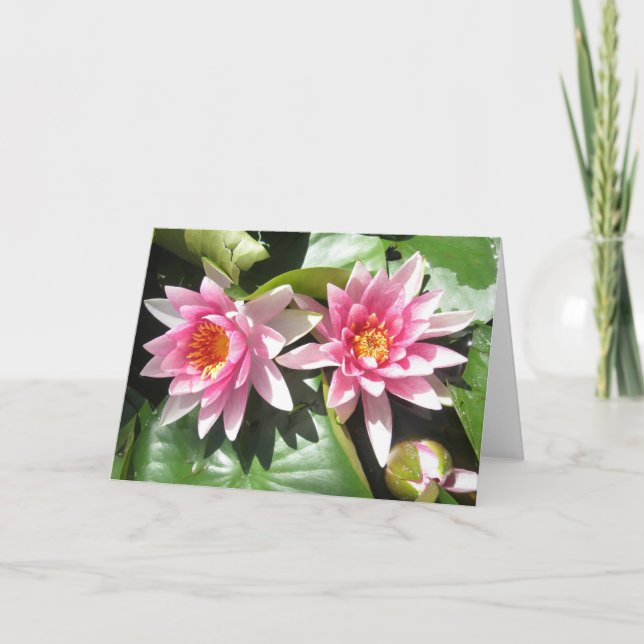 Pond Lillies Notecard (Front)