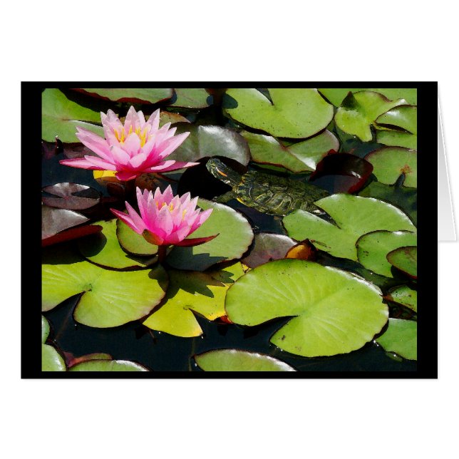 Pond Lilypad & Turtle Card (Front Horizontal)