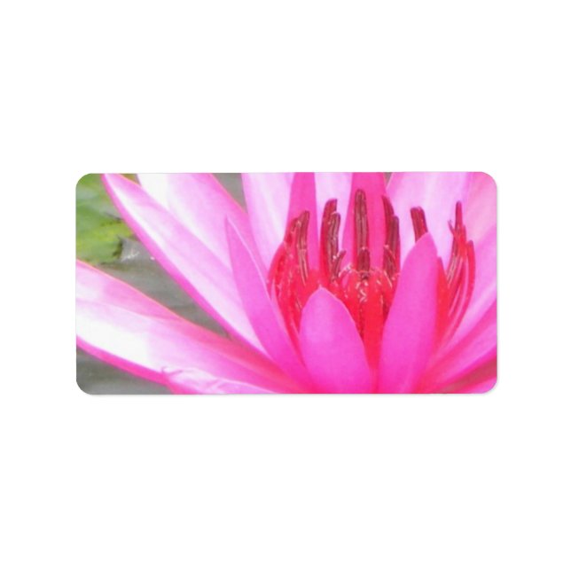 Pond Lotus Tranquillity Namaste Blank Address Label (Front)