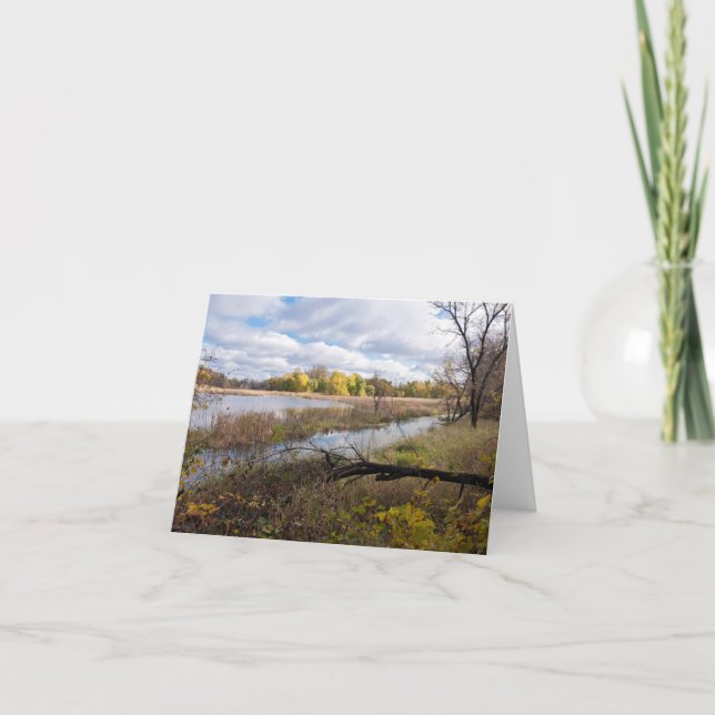 Pond Marshes and Woodlands of Refuge Invitation (Front)