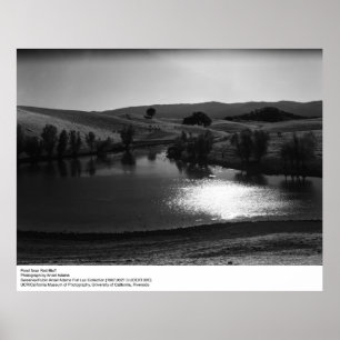 Pond Near Red Bluff by Ansel Adams Poster