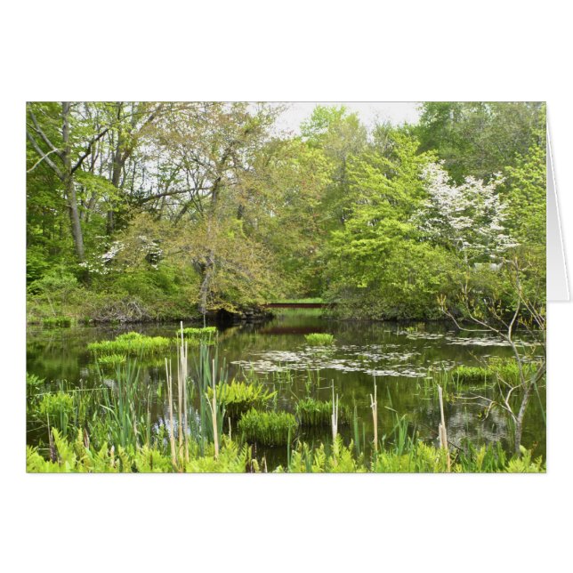 Pond Notecard (Front Horizontal)