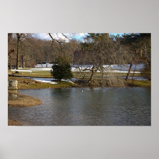 Pond Photo Poster (Front)