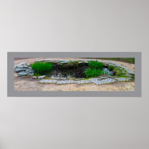 Pond Photo Poster