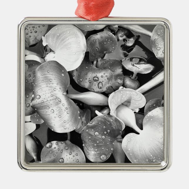 Pond Plants and Black and White Metal Tree Decoration (Front)