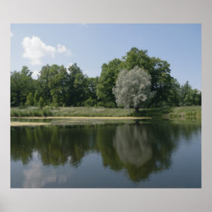 Pond Poster
