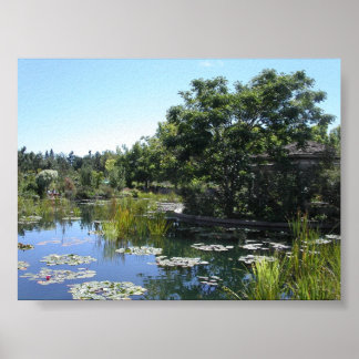 Pond Poster
