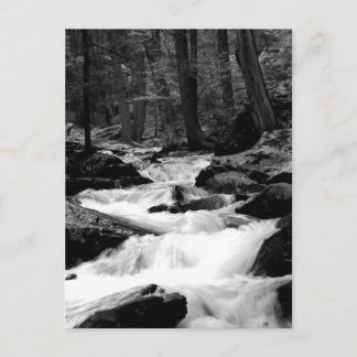 Pond Run Creek Postcard