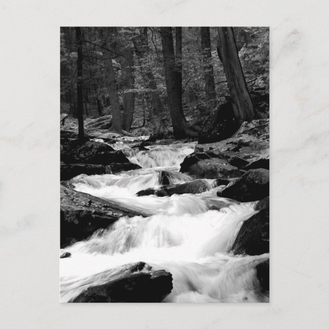 Pond Run Creek Postcard (Front)