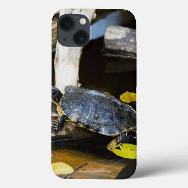 Pond slider turtle in the wild Case-Mate iPhone case (Back)
