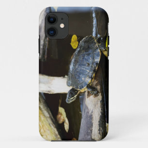 Pond slider turtle in the wild iPhone 11 case