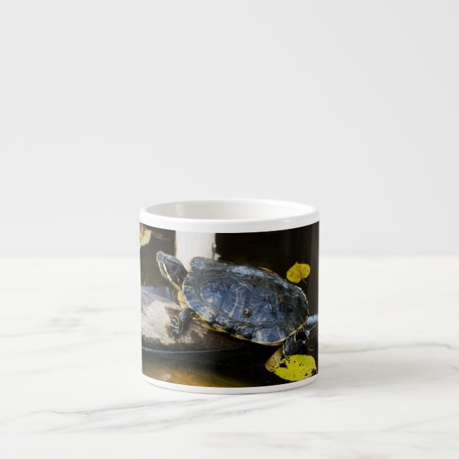 Pond slider turtle in the wild espresso cup (Front)