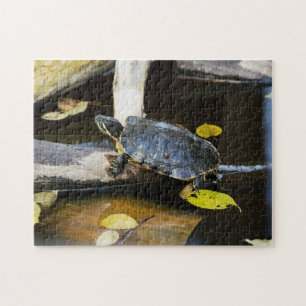 Pond slider turtle in the wild jigsaw puzzle