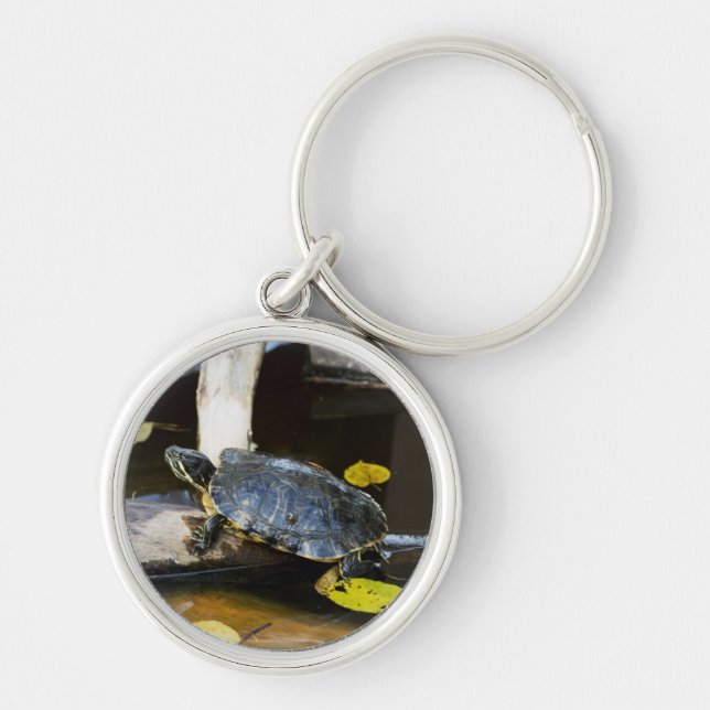 Pond slider turtle in the wild key ring (Front)
