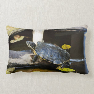 Pond slider turtle in the wild lumbar cushion