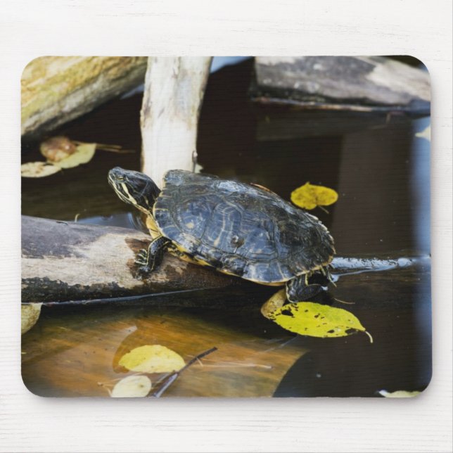 Pond slider turtle in the wild mouse pad (Front)