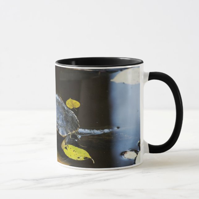 Pond slider turtle in the wild mug (Right)