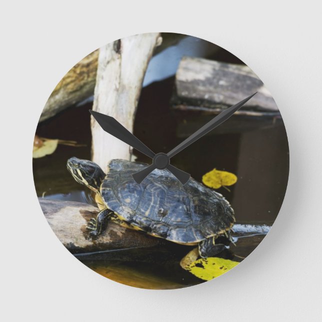 Pond slider turtle in the wild round clock (Front)