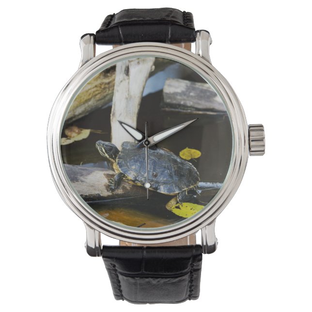 Pond slider turtle in the wild watch (Front)