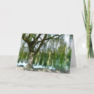 Pond through the Weeping Willow Tree Card