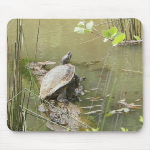 Pond Turtle Mouse Pad