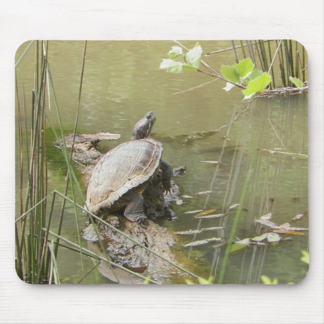 Pond Turtle Mouse Pad (Front)