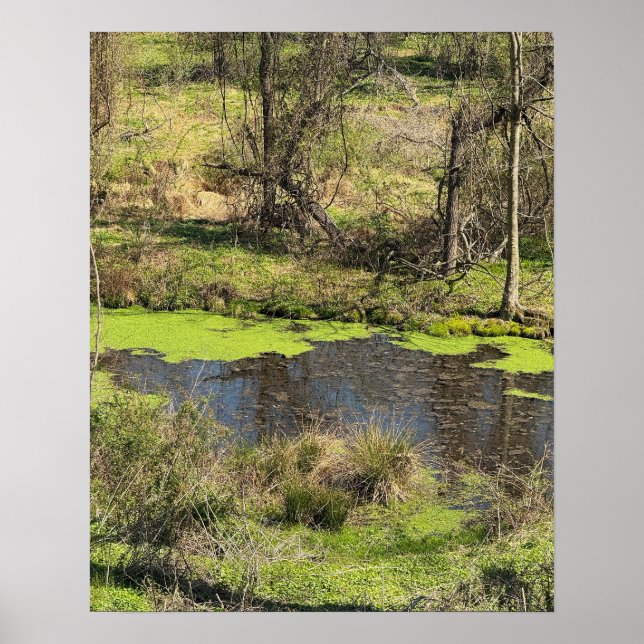 Pond Waterscape Photo Poster (Front)