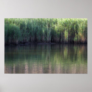 Pond Waterscape Photo Poster