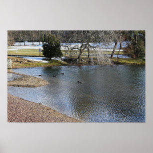 Pond Waterscape Poster