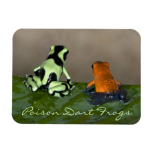 Pondering the Situation Magnet