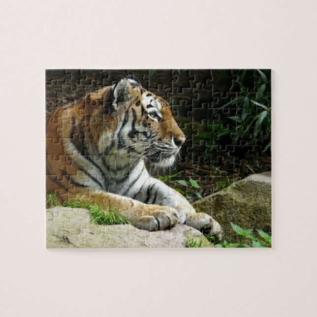 Pondering Tiger Puzzle (Horizontal)