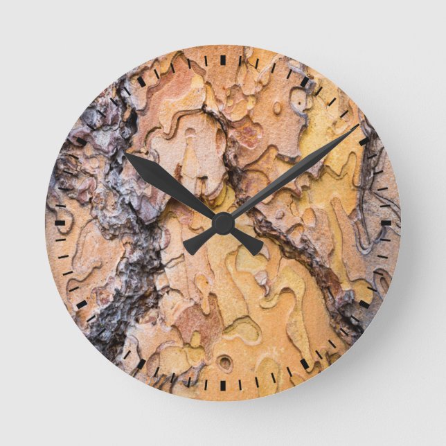 Ponderosa pine bark, Washington Round Clock (Front)